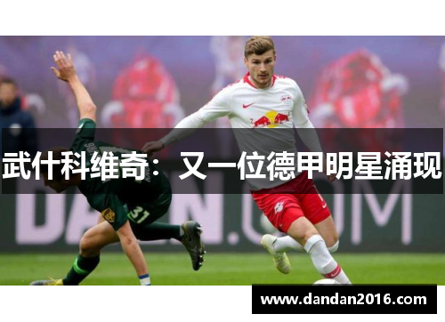 武什科维奇：又一位德甲明星涌现